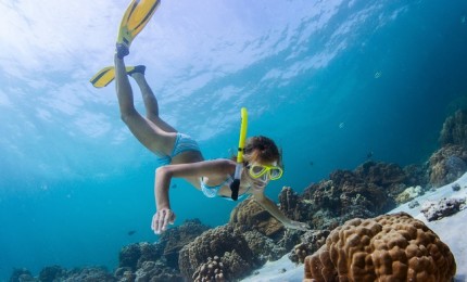 "5 Best Activities in the Sea of Fuerteventura"