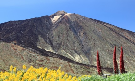 "5 Things you Didn´t Know About the Canary Islands"