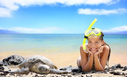 "Fuerteventura in a Motor Home Discover the Magic of Nature"