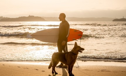 "Are you an Eco Friendly Surfer? Then this Wetsuit is for you!"